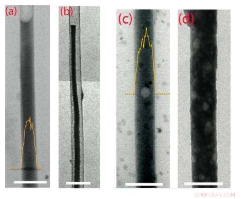 Scientists Boost Lithium‑Sulfur Battery Life Tenfold