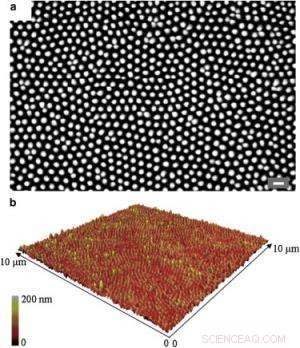 Scientists Discover Cicada Wing Structure That Kills Bacteria on Contact