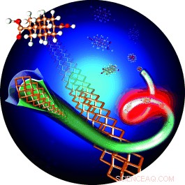 High‑Performance Carbon Nanowires Synthesized by Tempering Diamantane Dicarboxylic Acid Inside Carbon Nanotubes