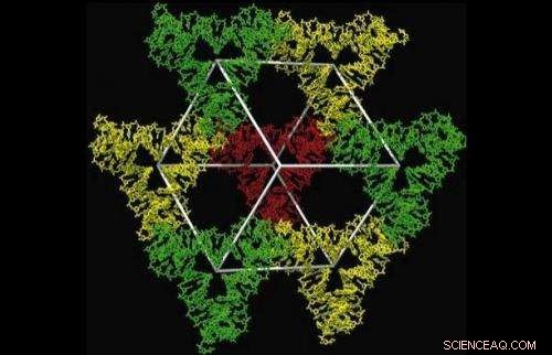 X-ray Laser Uncovers Innovative Applications for DNA Building Blocks