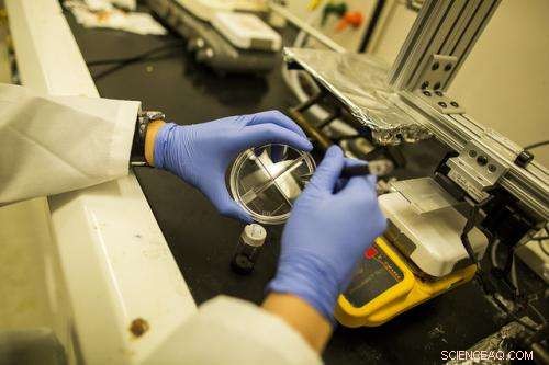 Revolutionizing Paint‑On Plastic Electronics: Aligning Polymers for Superior Performance