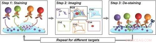 Achieve Tenfold Increase in Protein Detection Accuracy in Cancer Cells