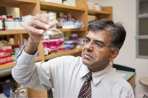 Kryptonite: A Breakthrough Target for Cancer Treatment