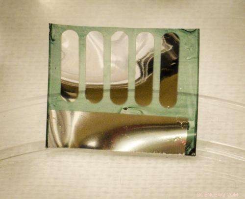 Recyclable, Efficient Solar Cells Developed from Tree‑Derived Nanocellulose