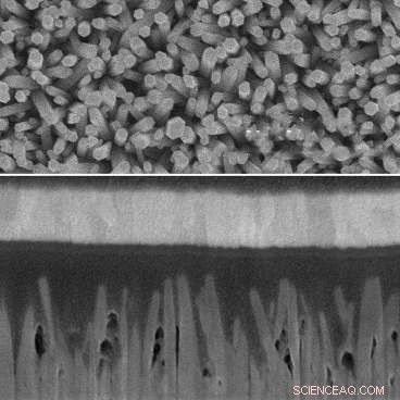 Innovative Solar Cell Design Utilizing Nanowires and Quantum Dots