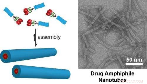 Scientists Engineer Cancer Drugs to Serve as Their Own Delivery Systems