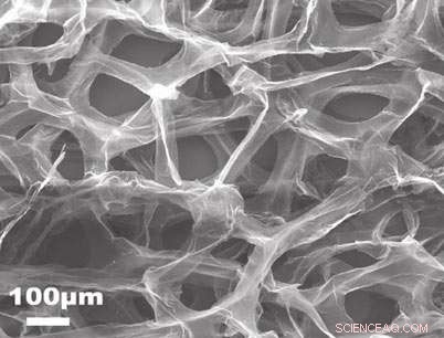 Graphene Foams: Biocompatible, Conductive Scaffolds for Neural Stem Cell Growth