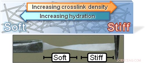 Squid Beak-Inspired Material Enhances Safety & Comfort of Medical Devices