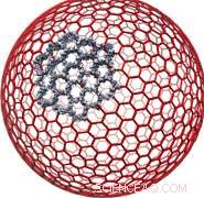 Nanoscale Cages Revolutionizing Chemistry, Biology, and Medicine