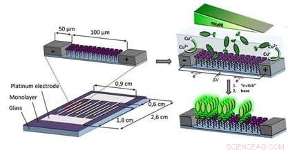 New Micro‑Scale Gradient Chip Streamlines Chemical Reactivity Analysis