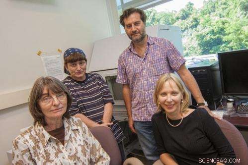 Gold Nanoparticles Show Promise in Reducing Fat Accumulation