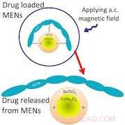 Revolutionary Nanotech Uses Magnetic Targeting to Deliver Life‑Saving Drugs Directly to the Brain