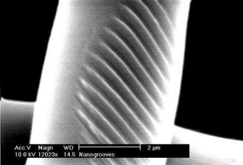 Micro‑Patterned 6‑µm Fibres Enable Precise Stem Cell Guidance—A Milestone for Regenerative Medicine