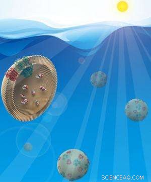 Team Deploys Solar‑Powered Protein Filters to Remove Harmful Antibiotics from Water