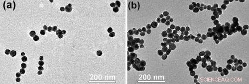 Scientists Capture Real‑Time Assembly of Nanoparticles into Larger Structures