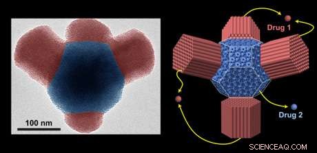 Nano‑Scale Compartments Enhance Drug Delivery and Fuel Cell Performance