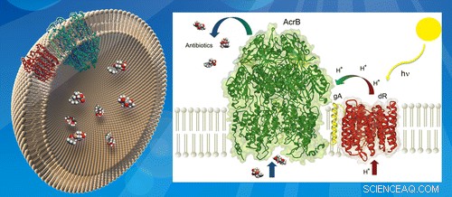 Solar-Powered Nanofilters Double Efficiency in Removing Antibiotics from Water