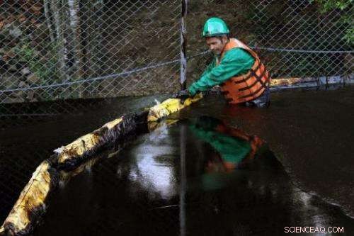 Lightweight, Reusable Material Promises to Clean Oil Spills