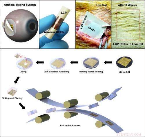 KAIST Breakthrough: In Vivo Flexible Large-Scale Integrated Circuits Developed