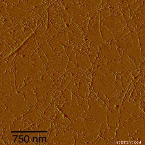 Negative Charge Strategy Enhances Carbon Nanotube Fibers: Rice University Breakthrough