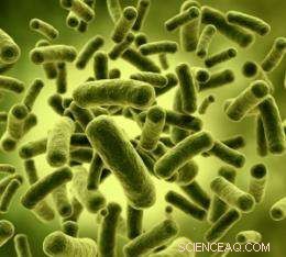 Bacteria Adapt and Evade the Toxic Effects of Silver Nanoparticles