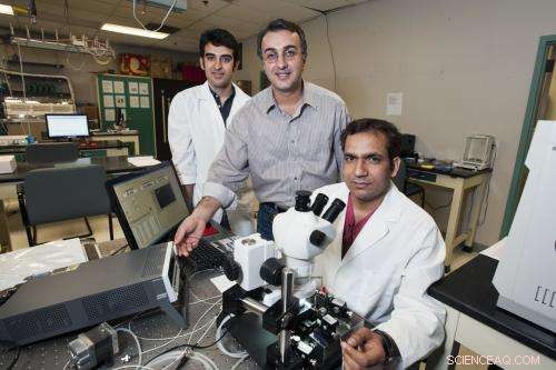Scientists Achieve Precise Control of Graphene-Based Nano-Chemical Sensor Sensitivity