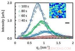 Advancing Understanding of Solid Thin Film Growth