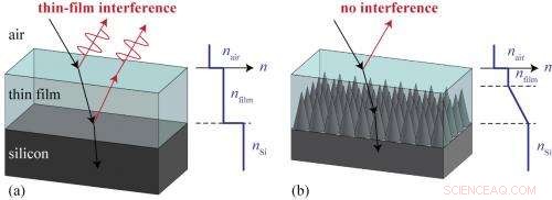 Moth-Inspired Nanostructures Eliminate Color in Thin-Film Coatings