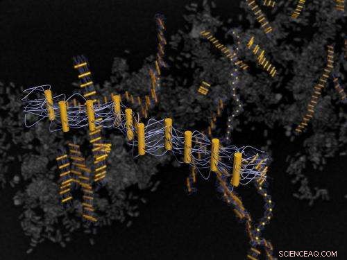 Revolutionary DNA-Directed Assembly Produces Novel Ribbon-Like Nanostructures