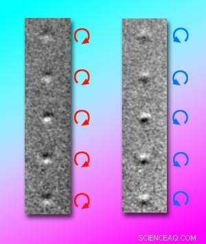 Nanoscopic Whirlpools: A Breakthrough to Boost Magnetic Memory Capacity