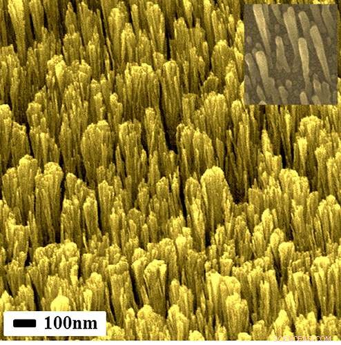 Researchers Create Among the World s Smallest Metallic Nanorods