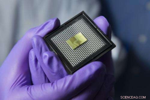 Advanced Sensor-on-a-Chip Technology Promises Precise Ecosystem and Health Monitoring
