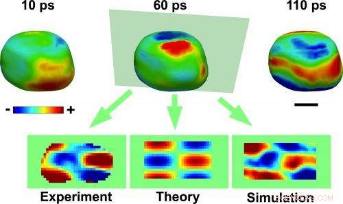 Ultra‑Fast Imaging of Gold Nanocrystal Vibrations at 1 billion Frames per Second