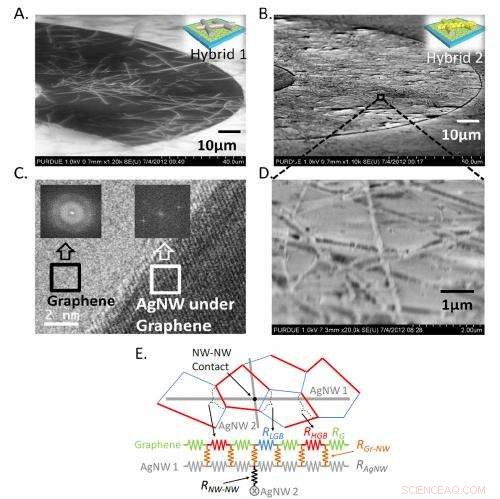 Revolutionary Transparent Electrode Paves Way for Flexible Solar Cells, Transistors & Displays