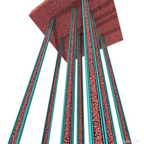 Exploring Ultra-Fast Water Transport Through Carbon Nanotubes