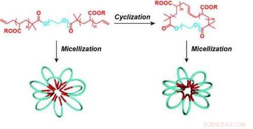 Robust Self‑Assembly of Micelles Using Linear and Cyclic Block Copolymers