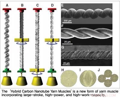 Hybrid Carbon Nanotube Yarn Muscle: A Game-Changer for Motors, Biotech, and Robotics