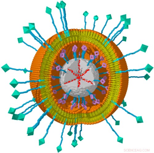 German Researchers Develop Versatile Nanoparticle System for Targeted Tumor Drug Delivery