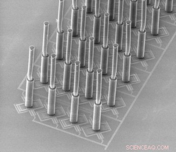 Hair‑Based Sensors Reveal Hidden Flow Signals with Unmatched Sensitivity