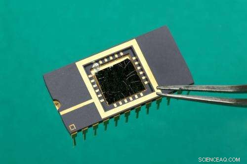 Revolutionizing Imaging: The First Ultra-Sensitive Molybdenum-Based Image Sensor