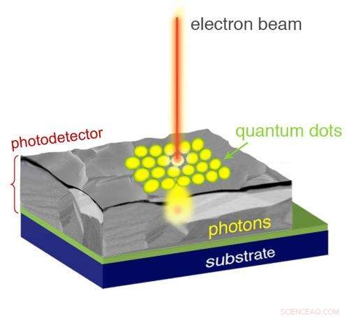 Revolutionary Quantum Dot Microscopy Merges Optical & Electron Imaging for Unprecedented Detail
