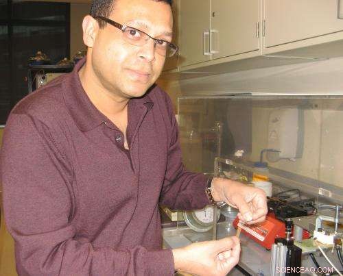 Revolutionary Polymer Thin Films: Industrial-Scale UV-Blocking Copolymer Breakthrough