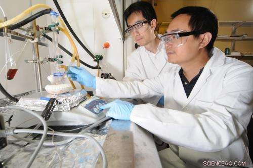 Star‑Shaped Block Copolymers: Precise Nanoreactors for Uniform Nanocrystals