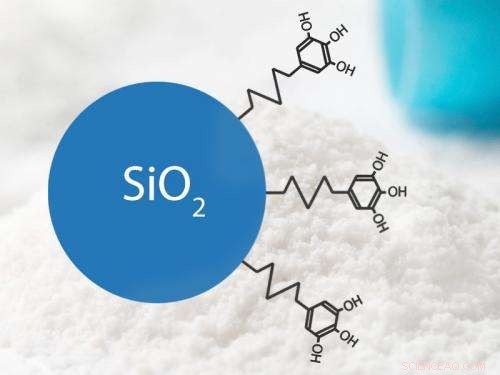 New Nanomaterial Extends Antioxidant Shelf Life