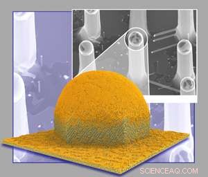 Nano-Sculpture: The Science Behind Metal Droplet-Driven Silicon Whisker Growth