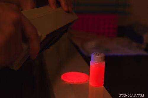 Silicon Nanoparticles Promise Lower-Cost, Eco-Friendly LED Production