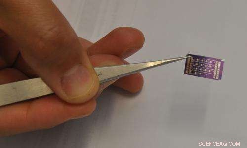 Revolutionary Nano‑Sensor  Electronic Nose  Enhances Food Safety & Health