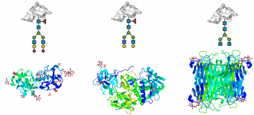Sweet Solutions: Advanced Glycan Detection for Disease Diagnosis