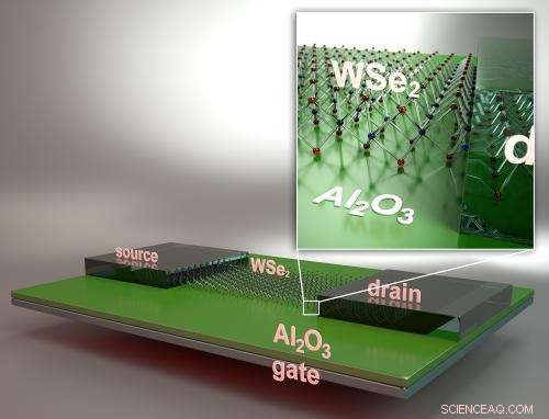 Atomically Flat 2D Transistors Pave Way for Next-Gen Green Electronics