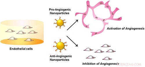 Nanoparticles Control Angiogenesis: Accelerating or Inhibiting Blood Vessel Growth